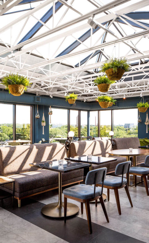 dining room with blue walls chairs and large sunroof